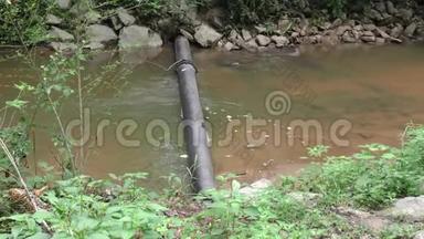 佐治亚州，塞威尔溪夏季，一个放大的水管，跨越塞威尔溪